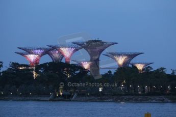 World © Octane Photographic Ltd. Friday 19th September 2014, Singapore Grand Prix, Marina Bay. Formula 1 Practice 1. Digital Ref: