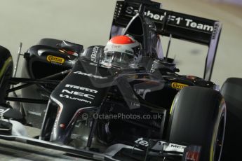 World © Octane Photographic Ltd. Friday 19th September 2014, Singapore Grand Prix, Marina Bay. - Formula 1 Practice 2. Sauber C33 – Adrian Sutil. Digital Ref: