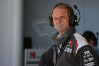 World © Octane Photographic Ltd. Saturday 1st November 2014, F1 USA GP, Austin, Texas, Circuit of the Americas (COTA) - Practice 3. Sauber F1 Team. Digital Ref : 1147LB1D0100