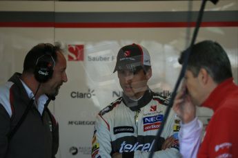 World © Octane Photographic Ltd. Saturday 1st November 2014, F1 USA GP, Austin, Texas, Circuit of the Americas (COTA) - Practice 3. Sauber C33 – Adrian Sutil. Digital Ref: 1147LB1D9407