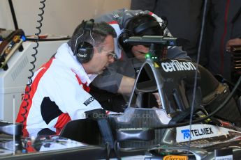 World © Octane Photographic Ltd. Saturday 1st November 2014, F1 USA GP, Austin, Texas, Circuit of the Americas (COTA) - Practice 3. Sauber C33 – Adrian Sutil. Digital Ref: 1147LB1D9411