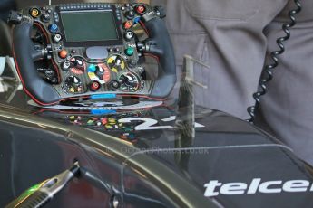 World © Octane Photographic Ltd. Saturday 1st November 2014, F1 USA GP, Austin, Texas, Circuit of the Americas (COTA) - Practice 3. Sauber C33 – Esteban Gutierrez. Digital Ref : 1147LB1D9418