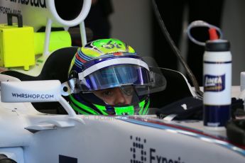 World © Octane Photographic Ltd. Saturday 1st November 2014, F1 USA GP, Austin, Texas, Circuit of the Americas (COTA) - Practice 3. Williams Martini Racing FW36 – Felipe Massa. Digital Ref: 1147LB1D9436