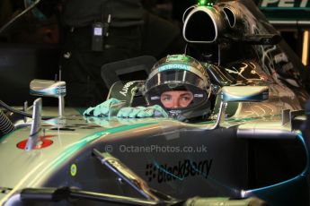 World © Octane Photographic Ltd. Saturday 1st November 2014, F1 USA GP, Austin, Texas, Circuit of the Americas (COTA) - Practice 3. Mercedes AMG Petronas F1 W05 Hybrid - Nico Rosberg. Digital Ref: 1147LB1D9479