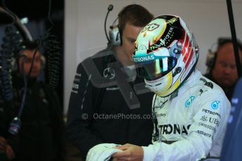 World © Octane Photographic Ltd. Saturday 1st November 2014, F1 USA GP, Austin, Texas, Circuit of the Americas (COTA) - Practice 3. Mercedes AMG Petronas F1 W05 Hybrid – Lewis Hamilton. Digital Ref: 1147LB1D9491