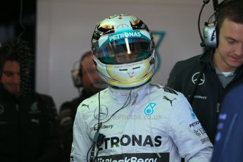 World © Octane Photographic Ltd. Saturday 1st November 2014, F1 USA GP, Austin, Texas, Circuit of the Americas (COTA) - Practice 3. Mercedes AMG Petronas F1 W05 Hybrid – Lewis Hamilton. Digital Ref: 1147LB1D9494