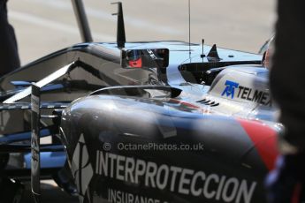 World © Octane Photographic Ltd. Saturday 1st November 2014, F1 USA GP, Austin, Texas, Circuit of the Americas (COTA) - Practice 3. Sauber C33 – Esteban Gutierrez. Digital Ref : 1147LB1D9668