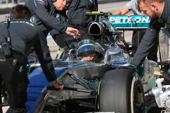 World © Octane Photographic Ltd. Saturday 1st November 2014, F1 USA GP, Austin, Texas, Circuit of the Americas (COTA) - Practice 3. Mercedes AMG Petronas F1 W05 Hybrid - Nico Rosberg. Digital Ref: 1147LB1D9758