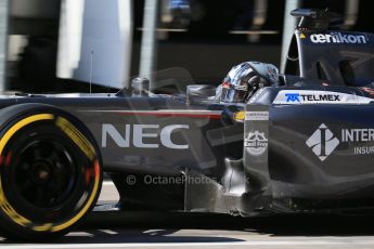 World © Octane Photographic Ltd. Saturday 1st November 2014, F1 USA GP, Austin, Texas, Circuit of the Americas (COTA) - Practice 3. Sauber C33 – Adrian Sutil. Digital Ref: 1147LB1D9854