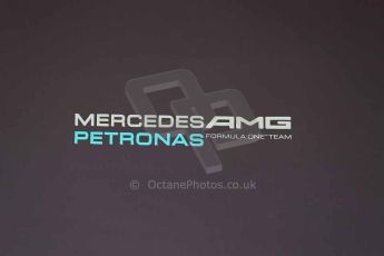 World © Octane Photographic Ltd. F1 USA GP, Austin, Texas, Circuit of the Americas (COTA). Wednesday 30th October 2014 – Pitlane setup. Mercedes AMG Petronas logo. Digital Ref : 1141LB1D6955