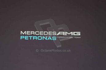 World © Octane Photographic Ltd. F1 USA GP, Austin, Texas, Circuit of the Americas (COTA). Wednesday 30th October 2014 – Pitlane setup. Mercedes AMG Petronas logo. Digital Ref : 1141LB1D6955