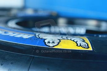 World © Octane Photographic Ltd. World Series by Renault collective test, Jerez de la Frontera, March 24th 2014. World Series by Renault, Renault 3.5 Michelin tyres. Digital Ref : 0897cb1d4470