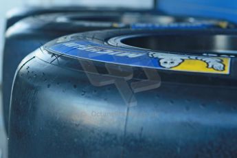 World © Octane Photographic Ltd. World Series by Renault collective test, Jerez de la Frontera, March 24th 2014. World Series by Renault, Renault 3.5 Michelin tyres. Digital Ref : 0897cb1d4472