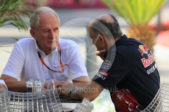 World © Octane Photographic Ltd. Scuderia Toro Rosso - Franz Tost and Red Bull Racing - Helmut Marko. Friday 27th November 2015, F1 Abu Dhabi Grand Prix, Practice 1, Yas Marina. Digital Ref: 1477CB1L4973