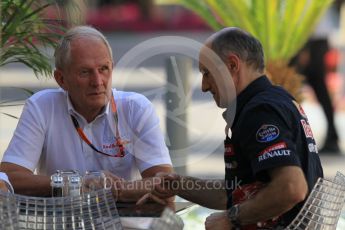 World © Octane Photographic Ltd. Scuderia Toro Rosso - Franz Tost and Red Bull Racing - Helmut Marko. Friday 27th November 2015, F1 Abu Dhabi Grand Prix, Practice 1, Yas Marina. Digital Ref: 1477CB1L4976