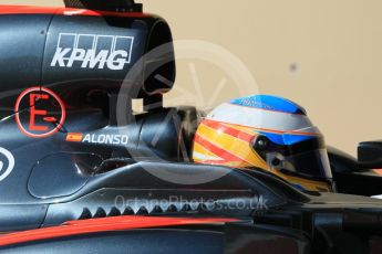 World © Octane Photographic Ltd. McLaren Honda MP4/30 – Fernando Alonso. Friday 27th November 2015, F1 Abu Dhabi Grand Prix, Practice 1, Yas Marina. Digital Ref: 1477CB1L5084
