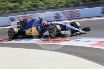 World © Octane Photographic Ltd. Sauber F1 Team C34-Ferrari – Felipe Nasr. Friday 27th November 2015, F1 Abu Dhabi Grand Prix, Practice 1, Yas Marina. Digital Ref: 1477CB1L5197