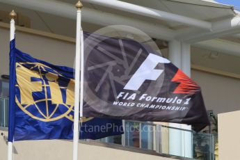 World © Octane Photographic Ltd. Formula 1 flags. Friday 27th November 2015, F1 Abu Dhabi Grand Prix, Practice 1, Yas Marina. Digital Ref: 1477CB1L5332