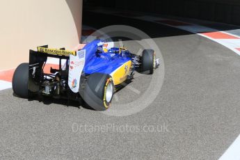 World © Octane Photographic Ltd. Sauber F1 Team C34-Ferrari – Marcus Ericsson. Friday 27th November 2015, F1 Abu Dhabi Grand Prix, Practice 1, Yas Marina. Digital Ref: 1477CB7D1688