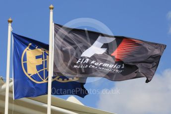 World © Octane Photographic Ltd. Formula 1 flags. Friday 27th November 2015, F1 Abu Dhabi Grand Prix, Practice 1, Yas Marina. Digital Ref: 1477LB5D3972