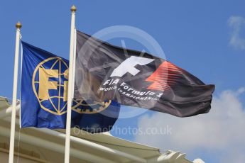 World © Octane Photographic Ltd. Formula 1 flags. Friday 27th November 2015, F1 Abu Dhabi Grand Prix, Practice 1, Yas Marina. Digital Ref: 1477LB5D3979