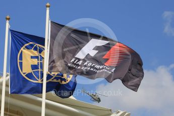 World © Octane Photographic Ltd. Formula 1 flags. Friday 27th November 2015, F1 Abu Dhabi Grand Prix, Practice 1, Yas Marina. Digital Ref: 1477LB5D3980