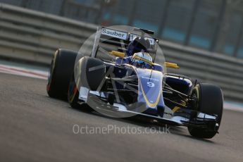 World © Octane Photographic Ltd. Sauber F1 Team C34-Ferrari – Marcus Ericsson. Friday 27th November 2015, F1 Abu Dhabi Grand Prix, Practice 2, Yas Marina. Digital Ref: 1478LB1D7054