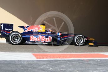 World © Octane Photographic Ltd. Friday 27th November 2015. DAMS – Pierre Gasly. GP2 Practice, Yas Marina, Abu Dhabi. Digital Ref. : 1476CB7D1559