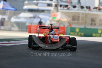 World © Octane Photographic Ltd. Friday 27th November 2015. Arden International – Emil Bernstorff. GP3 Practice - Yas Marina, Abu Dhabi. Digital Ref. : 1475LB1D5130