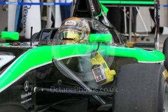 World © Octane Photographic Ltd. Saturday 28th November 2015. Status Grand Prix – Sandy Stuvik. GP3 Race 1 - Yas Marina, Abu Dhabi. Digital Ref. :