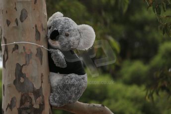 World © Octane Photographic Ltd. Mercedes AMG Petronas - Koala. Sunday 15th March 2015, F1 Australian GP Paddock, Melbourne, Albert Park, Australia. Digital Ref: 1207LB1D8503