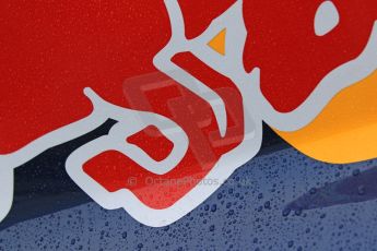 World © Octane Photographic Ltd. Thursday 18th June 2015, GP2 Austrian GP Paddock, Red Bull Ring, Spielberg, Austria, DAMS - Pierre Gasly - Red Bull logo in the rain. Digital Ref: