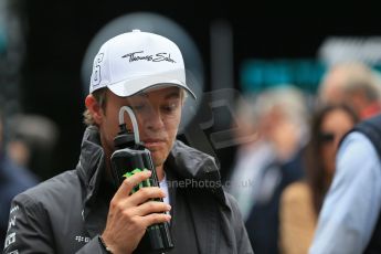 World © Octane Photographic Ltd. Mercedes AMG Petronas F1 W06 Hybrid – Nico Rosberg. Sunday 21st June 2015, F1 Grid, Red Bull Ring, Spielberg, Austria. Digital Ref: 1318LB1D9313