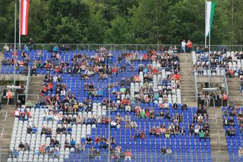 World © Octane Photographic Ltd. Grandstands. Friday 19th June 2015, F1 Austrian GP Practice 2, Red Bull Ring, Spielberg, Austria. Digital Ref: 1306CB7D3925