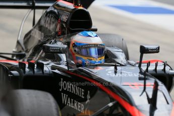 World © Octane Photographic Ltd. McLaren Honda MP4/30 – Fernando Alonso. Saturday 20th June 2015, F1 Austrian GP Practice 3, Red Bull Ring, Spielberg, Austria. Digital Ref: 1311LB1D7481