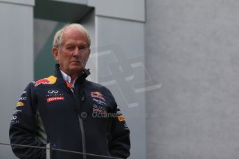 World © Octane Photographic Ltd. Sunday 21st June 2015. Dr Helmut Marko. GP2 Race 2 – Red Bull Ring, Spielberg, Austria. Digital Ref. : 1317LB1D9081
