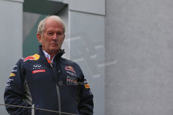 World © Octane Photographic Ltd. Sunday 21st June 2015. Dr Helmut Marko. GP2 Race 2 – Red Bull Ring, Spielberg, Austria. Digital Ref. : 1317LB1D9086