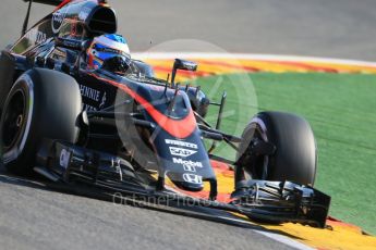 World © Octane Photographic Ltd. McLaren Honda MP4/30 – Fernando Alonso. Friday 21st August 2015, F1 Belgian GP Practice 1, Spa-Francorchamps, Belgium. Digital Ref: 1373LB1D7704