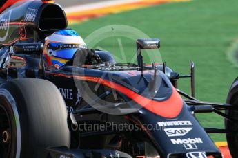 World © Octane Photographic Ltd. McLaren Honda MP4/30 – Fernando Alonso. Friday 21st August 2015, F1 Belgian GP Practice 1, Spa-Francorchamps, Belgium. Digital Ref: 1373LB7D4428