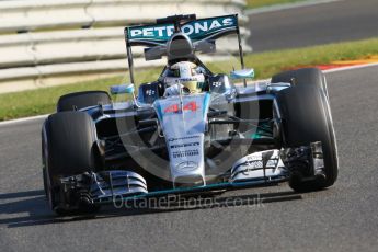 World © Octane Photographic Ltd. Mercedes AMG Petronas F1 W06 Hybrid – Lewis Hamilton. Friday 21st August 2015, F1 Belgian GP Practice 1, Spa-Francorchamps, Belgium. Digital Ref: 1373LB7D4443