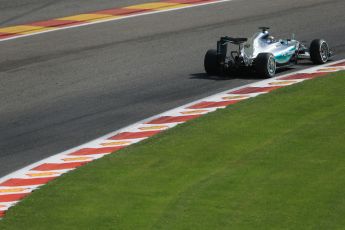 World © Octane Photographic Ltd. Mercedes AMG Petronas F1 W06 Hybrid – Lewis Hamilton. Saturday 22nd August 2015, F1 Belgian GP Qualifying, Spa-Francorchamps, Belgium. Digital Ref: 1382LB1D0301