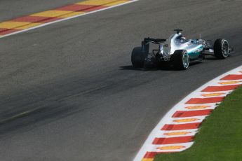 World © Octane Photographic Ltd. Mercedes AMG Petronas F1 W06 Hybrid – Lewis Hamilton. Saturday 22nd August 2015, F1 Belgian GP Qualifying, Spa-Francorchamps, Belgium. Digital Ref: 1382LB1D0330