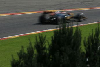 World © Octane Photographic Ltd. Lotus F1 Team E23 Hybrid – Romain Grosjean. Saturday 22nd August 2015, F1 Belgian GP Qualifying, Spa-Francorchamps, Belgium. Digital Ref: 1382LB1D0378