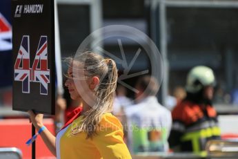 World © Octane Photographic Ltd. Mercedes AMG Petronas F1 W06 Hybrid – Lewis Hamilton's grid girl holding his place marker board. Sunday 23rd August 2015, F1 Belgian GP Grid, Spa-Francorchamps, Belgium. Digital Ref: 1388LB1D1936