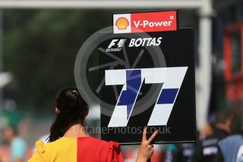 World © Octane Photographic Ltd. Williams Martini Racing FW37 – Valtteri Bottas's grid girl holding his place marker board. Sunday 23rd August 2015, F1 Belgian GP Grid, Spa-Francorchamps, Belgium. Digital Ref: 1388LB1D1948