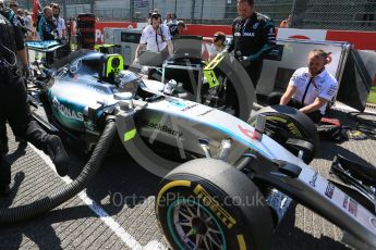 World © Octane Photographic Ltd. Mercedes AMG Petronas F1 W06 Hybrid – Nico Rosberg. Sunday 23rd August 2015, F1 Belgian GP Grid, Spa-Francorchamps, Belgium. Digital Ref: 1388LB5D9897