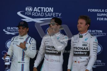 World © Octane Photographic Ltd. Mercedes AMG Petronas F1 W06 Hybrid – Lewis Hamilton, Nico Rosberg and Williams Martini Racing FW37 – Felipe Massa. Saturday 4th July 2015, F1 British GP Qualifying, Silverstone, UK. Digital Ref: 1335LB1D5649