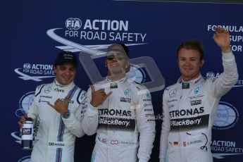 World © Octane Photographic Ltd. Mercedes AMG Petronas F1 W06 Hybrid – Lewis Hamilton, Nico Rosberg and Williams Martini Racing FW37 – Felipe Massa. Saturday 4th July 2015, F1 British GP Qualifying, Silverstone, UK. Digital Ref: 1335LB1D5655