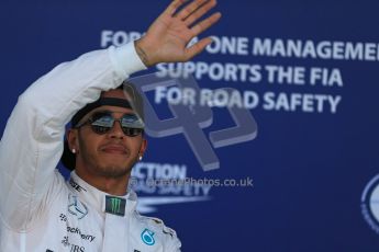 World © Octane Photographic Ltd. Mercedes AMG Petronas F1 W06 Hybrid – Lewis Hamilton. Saturday 4th July 2015, F1 British GP Qualifying, Silverstone, UK. Digital Ref: 1335LB1D5671