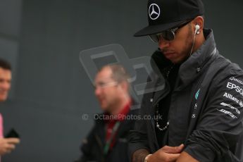 World © Octane Photographic Ltd. Mercedes AMG Petronas F1 W06 Hybrid – Lewis Hamilton. Sunday 5th July 2015, F1 British GP F1 Race - Grid, Silverstone, UK. Digital Ref: 1340LB1D6286